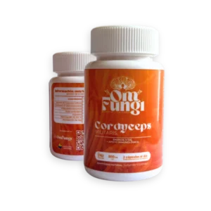 Inicio Cordyceps – cápsulas 500 mg