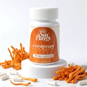 cordyceps – cápsulas