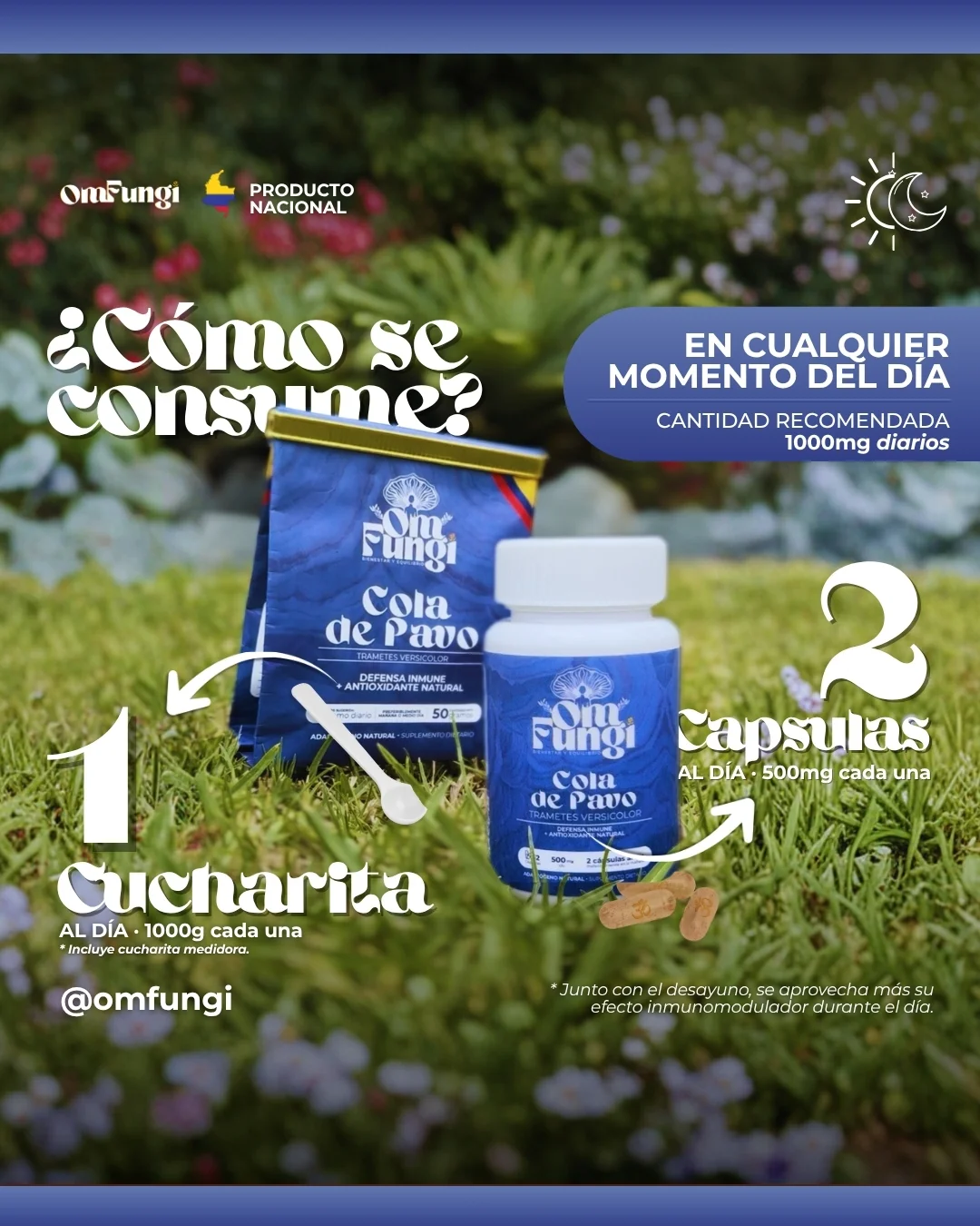 Como se consume Cola de Pavo Como se consume Cola de Pavo