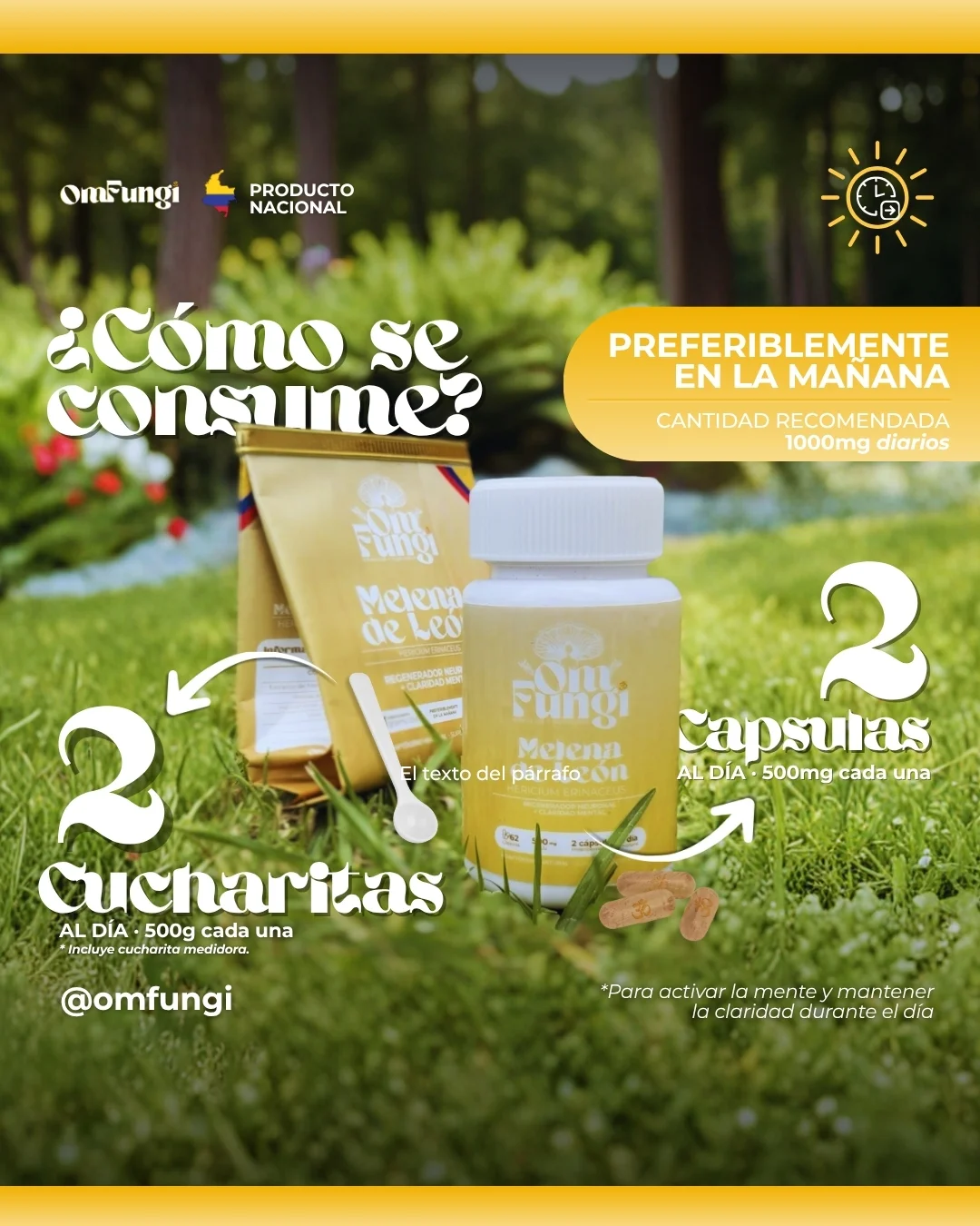 Como se consume Melena de León Como se consume Melena de León